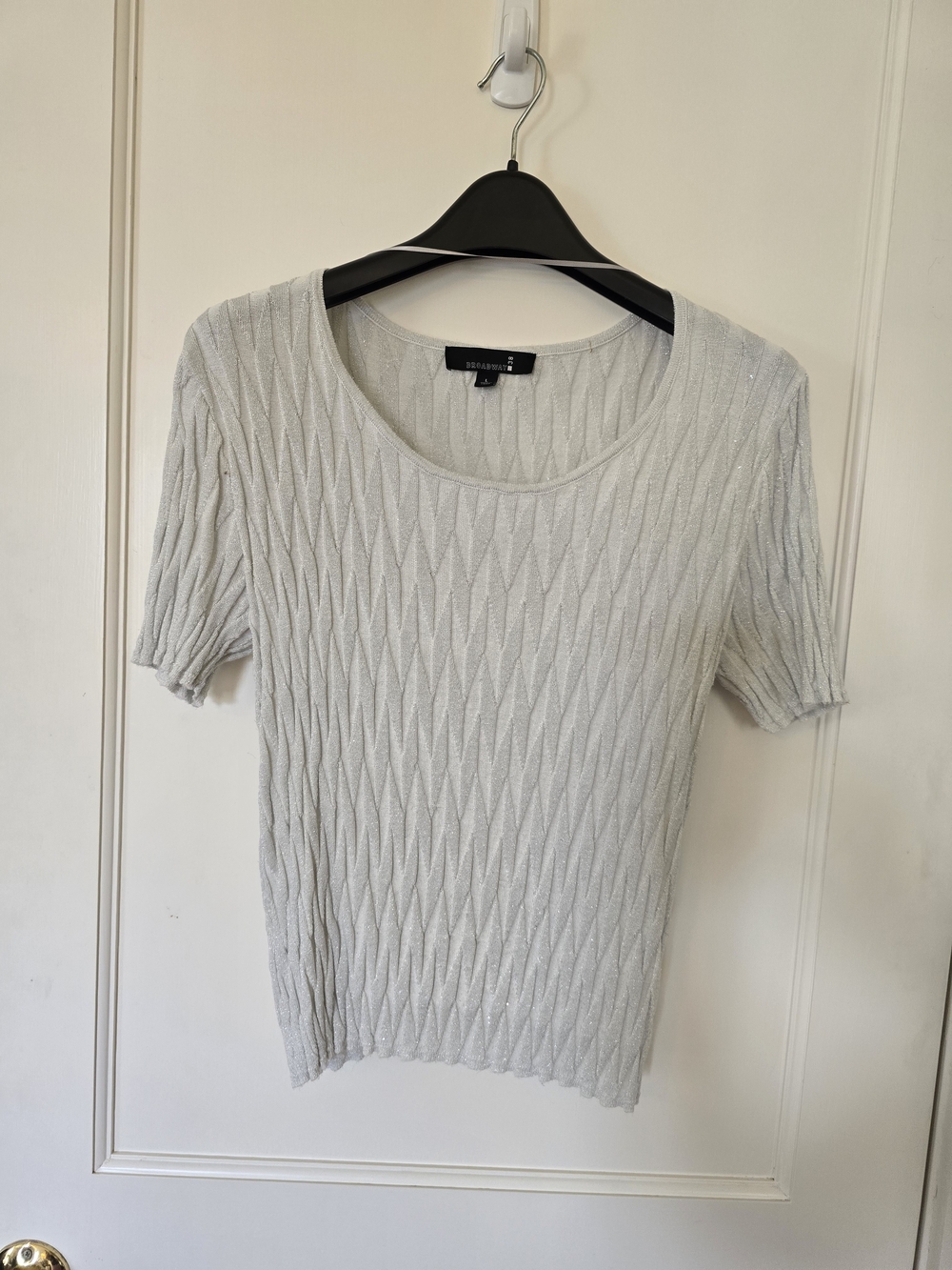 Light Silver Stretchy Scoop Neck Short Sleeve Knit Top LARGE